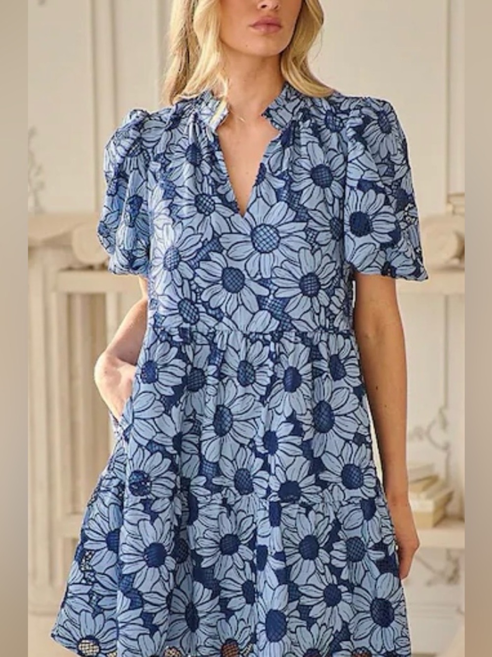 Mavisy Floral Jacey Embroidered Eyelet Baby Doll Split V-Neck  Mini Dress